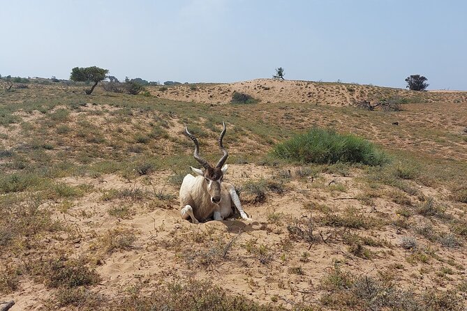 Souss Massa National Park Half Day Trip from Agadir - Stop 2 Bonus: Scenic Water and the Massa Valley Add Flavor