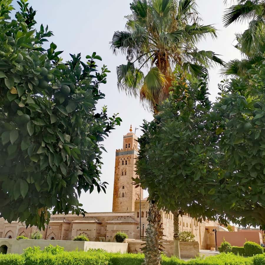 Sparkling Marrakech through the eyes of your local Guide - Bahia Palace, Ben Youssef Madrasa, and the craft of Moroccan design
