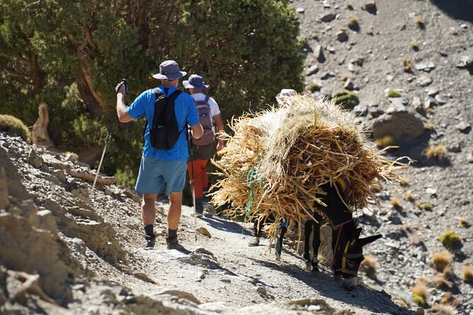 Summiting and Hiking the Atlas Mountains Day Trek from Marrakech - From Marrakech to Imlil: the drive that sets the tone