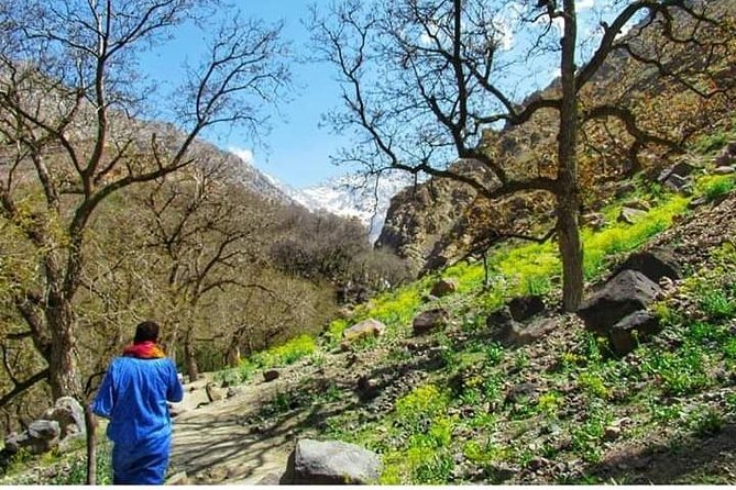 Summiting The Atlas Mountains, Day Hike & Trek From Marrakech - Entering the Atlas Mountains from Marrakech, without the fuss
