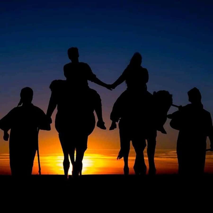 Sun set camel ride in palmerai of Marrakesh - Key things to know before you go
