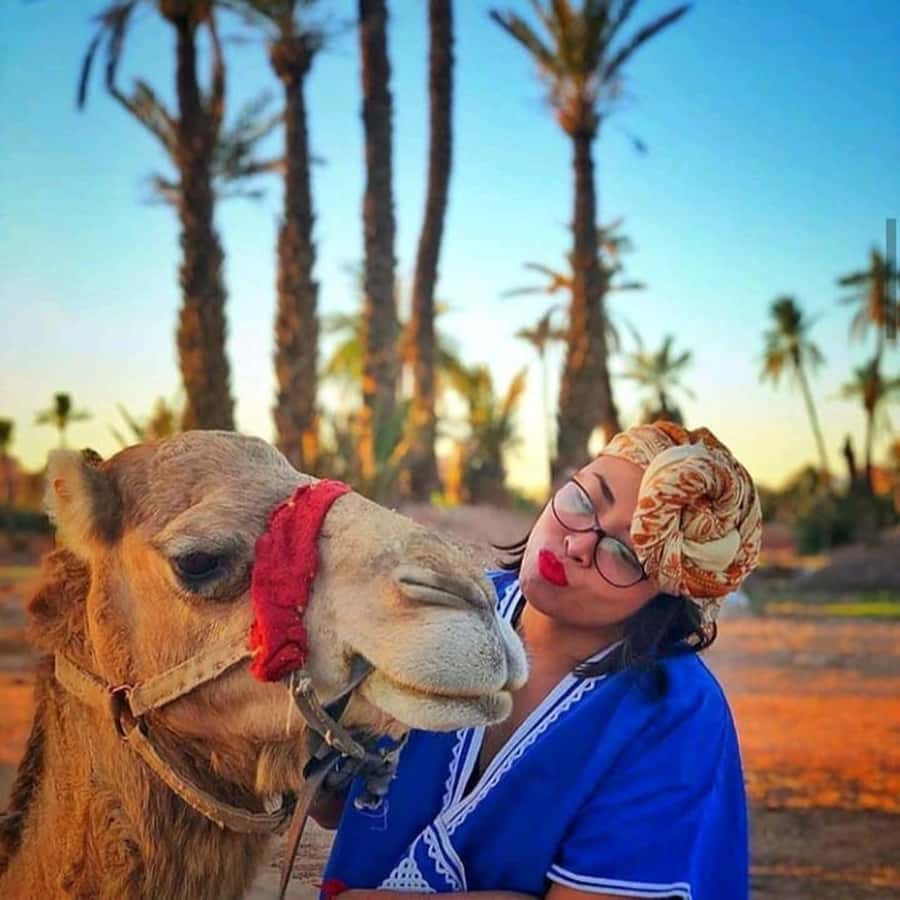Sun set camel ride in palmerai of Marrakesh - Getting to the Palmeraie: a simple plan with a big payoff at sunset