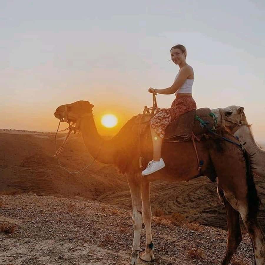 Sun set camel ride in palmerai of Marrakesh - The 1 hour sunset ride: what you will feel and what to watch for