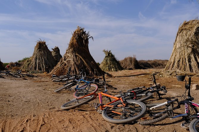 Suncycling in Marrakech's Palm Groove - Breakfast Included - The ecolodge stop: learning through architecture and daily practice