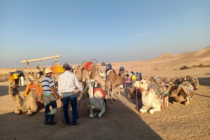 Sunset camel ride Agafay desert Marrakech - The 1-Hour Camel Ride Across Agafay