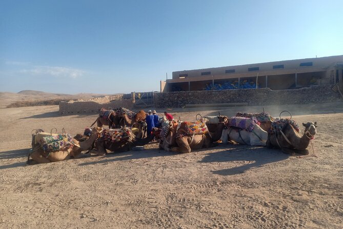 Sunset camel ride Agafay desert Marrakech - Who This Sunset Camel Ride Suits Best