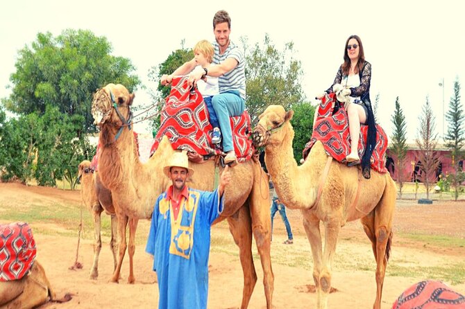 Sunset camel ride and barbecue dinner in Agadir - Key highlights you will actually care about