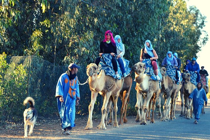 Sunset camel ride and barbecue dinner in Agadir - The 2-Hour Camel Ride Through Aghroud Bensergao and Eucalyptus Trails