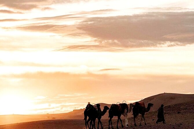 Sunset & Camel Ride & Dinner in Desert Agafay Marrakech - Timing Reality Check: Sunset Views vs. Dinner in the Dark