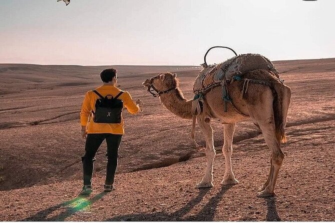 Sunset & Camel Ride & Dinner in Desert Agafay Marrakech - Marrakech Pickup That Actually Sets the Tone