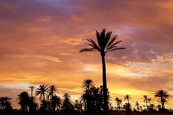 Sunset Camel Ride in Agadir or Taghazout With Transfers - From your hotel to the ranch in about 10 minutes