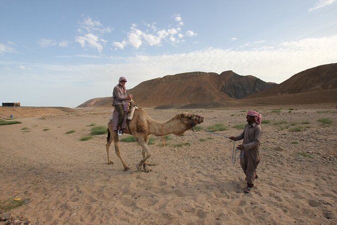 Sunset Camel Ride in Agadir or Taghazout With Transfers - The Moroccan mint tea stop, and why it’s more than a break