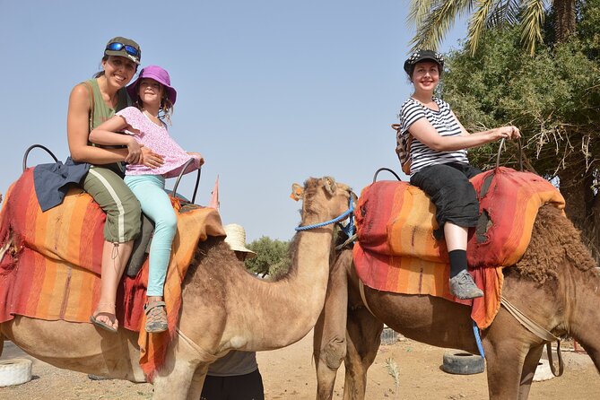 Sunset Camel Ride in Agadir or Taghazout With Transfers - Timing, sunset expectations, and how long it may take