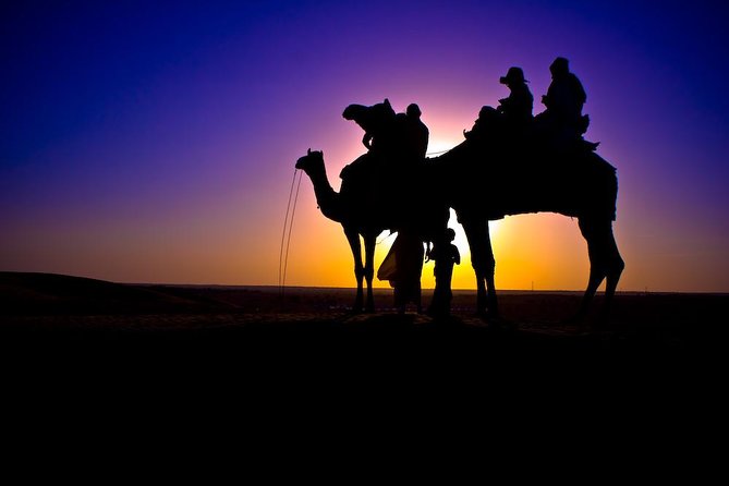 Sunset Camel Ride in Agadir or Taghazout With Transfers - Picking your camel and riding through eucalyptus to the Souss River