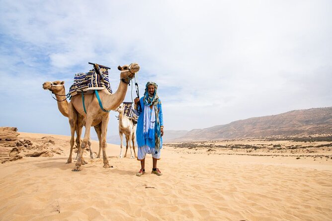Sunset Camel Ride in Agadir with Dinner in Habitant House - Key Highlights You Will Actually Care About