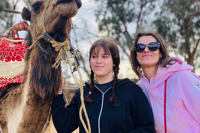Sunset Camel Ride in Agadir with Dinner in Habitant House - Price, Timing, and What $29.04 Really Buys You