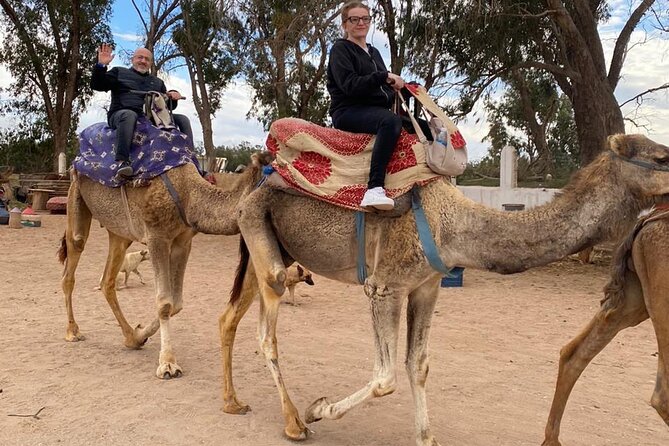 Sunset Camel Ride in Agadir with Dinner in Habitant House - Group Size at 15: Why That Matters at Sunset