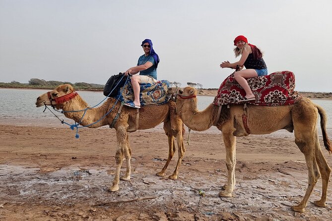 Sunset Camel Ride in Agadir with Dinner in Habitant House - From Hotel Pickup to Ranch Near the King’s Palace