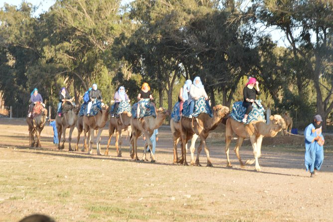 Sunset camel ride in Agadir with transport, tea and cakes. - Hotel Pickup And The Ranch Setup: What Happens Before You Mount