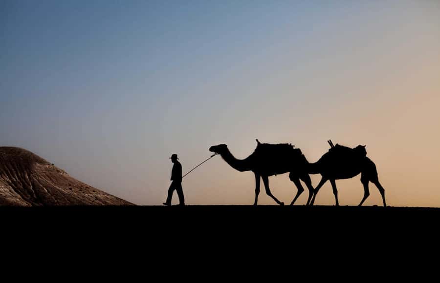 Sunset Camel Ride in Agafay Desert with dinner and pool - Key things to know before you go