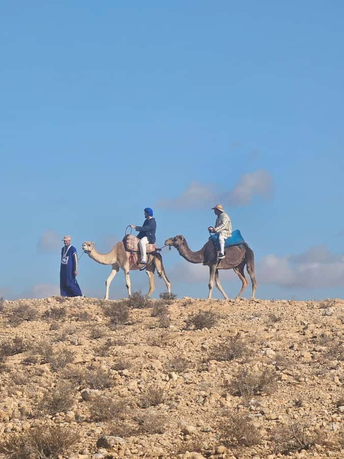 Sunset Camel Ride in Agafay Desert with dinner and pool - Should you book the sunset camel ride with pool and dinner?