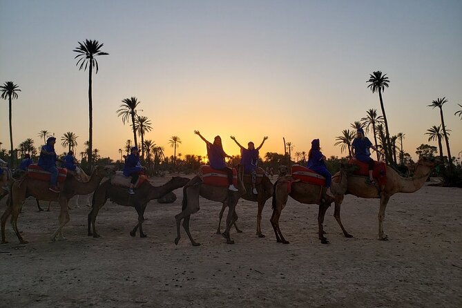 Sunset Camel Ride in the Palm Grove of Marrakech - Pickup, Timing, and How to Plan Your Evening