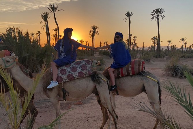 Sunset Camel Ride in the Palm Grove of Marrakech - The Berber Home Tea Stop: Real Culture Time, Not a Quick Photo Stop