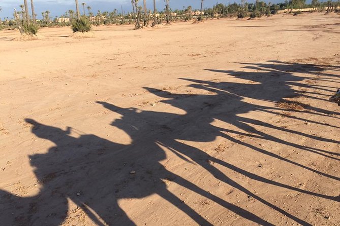 Sunset Camel Ride in the Palm Grove of Marrakech - The Camel Ride Through Palmeraie at Golden Hour
