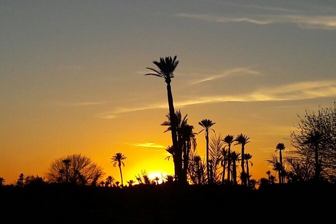 Sunset Camel Ride in the Palm Grove of Marrakech - The Price, What You Truly Get, and Value in Marrakech
