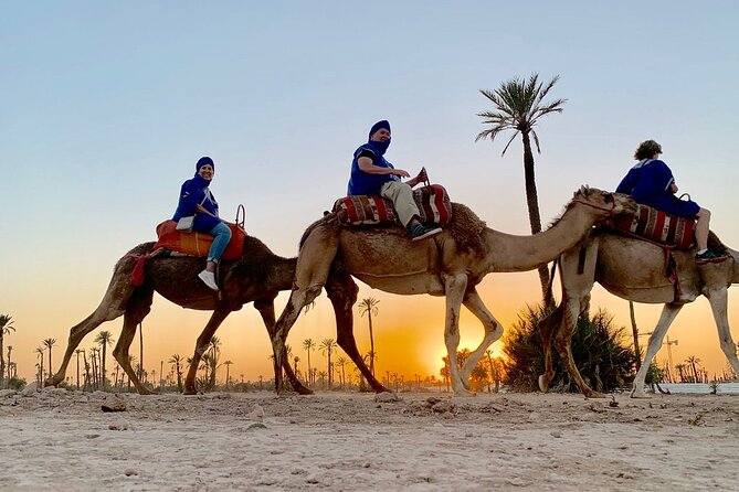Sunset Camel Ride in the Palm Grove Of Marrakech - Hotel pickup and the air-conditioned ride to the Palmeraie