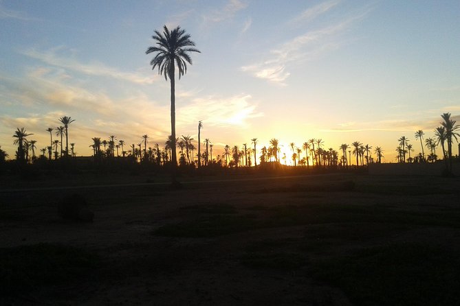 Sunset Camel Ride Marrakech with Transfers - Key things to know before you go