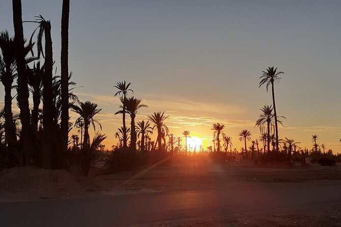 Sunset Camel Ride Marrakech with Transfers - The 1-hour ride through thousands of palms at sunset