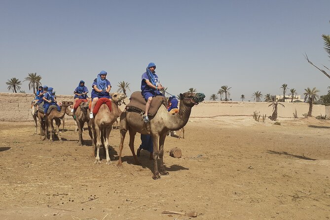 Sunset Camel Ride Marrakech with Transfers - Price and value: what $23.23 buys you in Marrakech