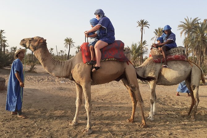 Sunset Camel Ride Marrakech with Transfers - Who should book, and who should skip this one