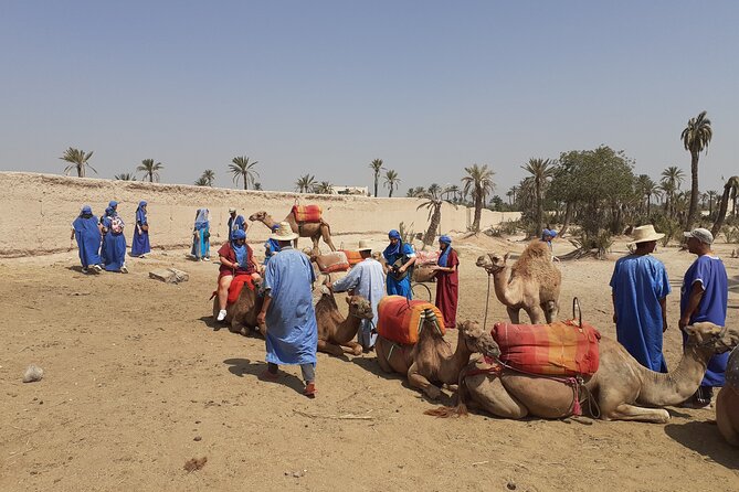 Sunset Camel Ride Marrakech with Transfers - Quick checklist for a smoother sunset ride