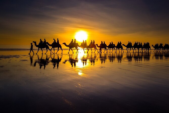 Sunset Camel Ride on Achakkar Beach - Key highlights worth planning for