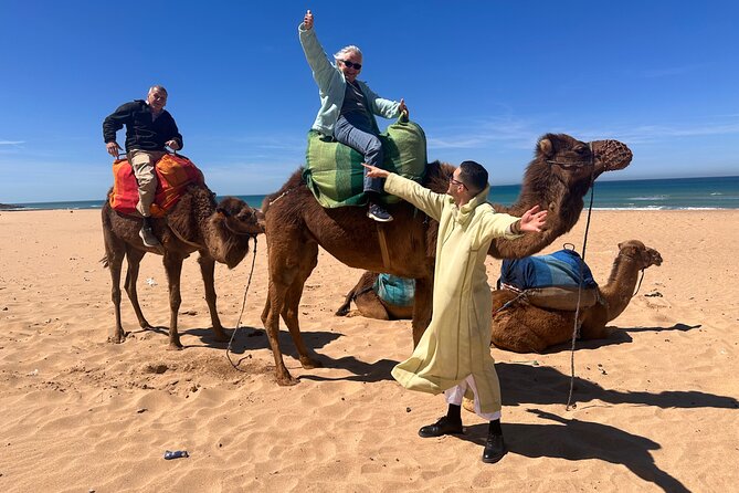 Sunset Camel Ride on Achakkar Beach - A 6:00 pm Tangier plan that fits the evening