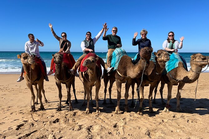Sunset Camel Ride on Achakkar Beach - Achakkar Beach camel ride: sunset on the shoreline