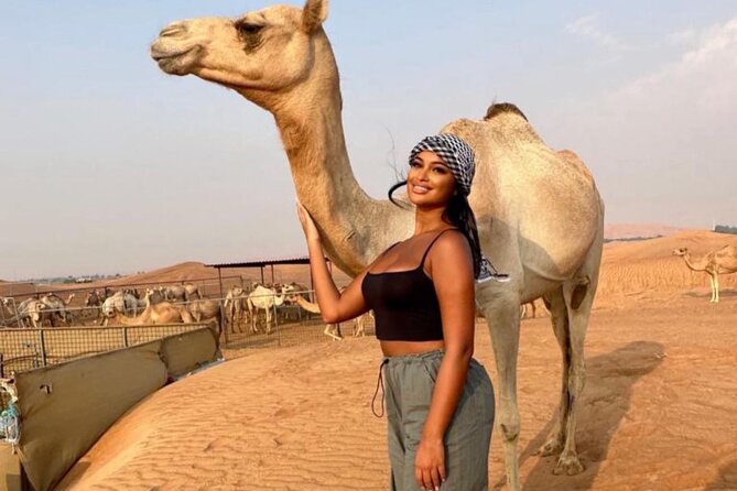 Sunset Camel Ride on Achakkar Beach - Private guide and air-conditioned comfort, the underrated value