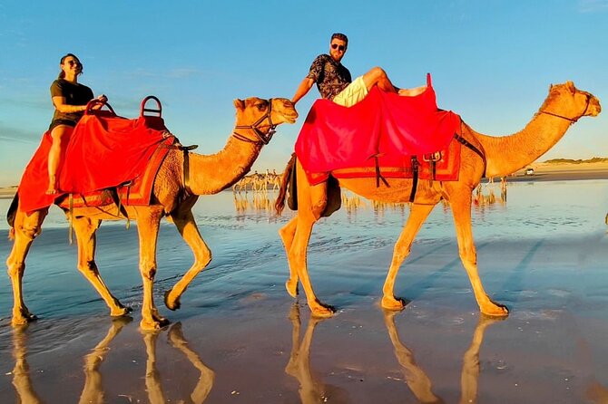 Sunset Camel Ride on Achakkar Beach - Price and value: is $116.15 a fair deal?