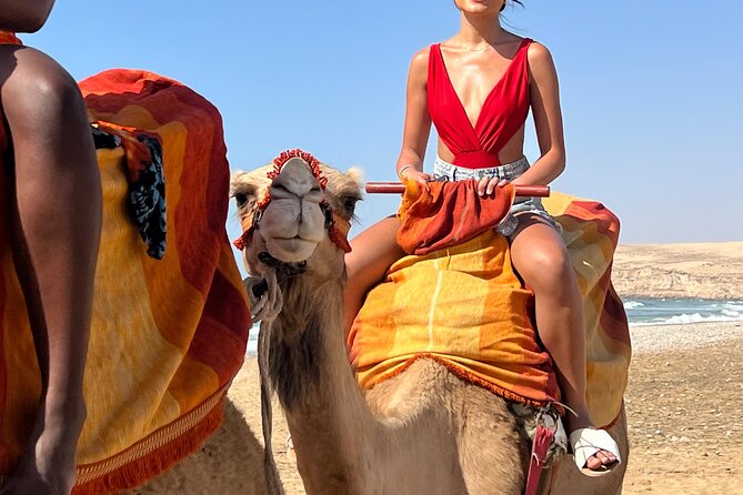 Sunset Camel Ride tour with Barbecue dinner in the beach - The Beach-By-Sunset Dinner: Moroccan Salad, Barbecue, Moroccan Tea