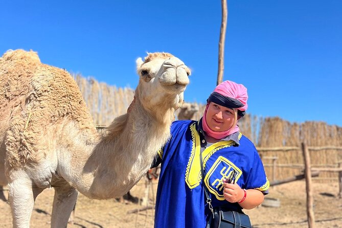 Sunset Camel Ride tour with Barbecue dinner in the beach - Who This Sunset Camel Ride Fits Best