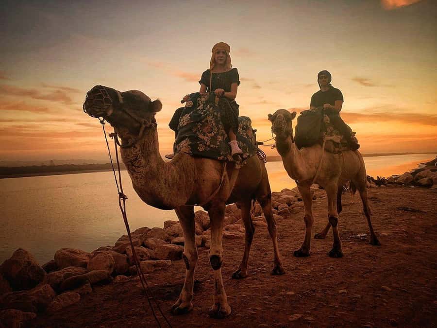 Sunset Camel Riding Including BBQ Dinner & Hotel Transfers - H2: Mounting The Camels, What The Ride Feels Like
