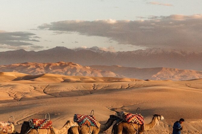 Sunset views with dinner show and came ride tour - What to expect from the pacing (and how to make it enjoyable)