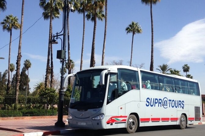 Supratours Marrakech to Essaouira Moroccan Bus Tickets - Marrakech to Essaouira by Supratours: Pick the Right Departure Time