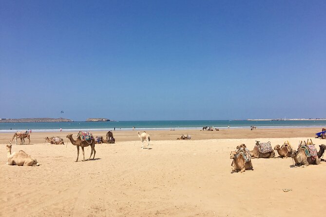 Supratours Marrakech to Essaouira Moroccan Bus Tickets - Price vs. Value: Why $20 Can Be a Good Deal