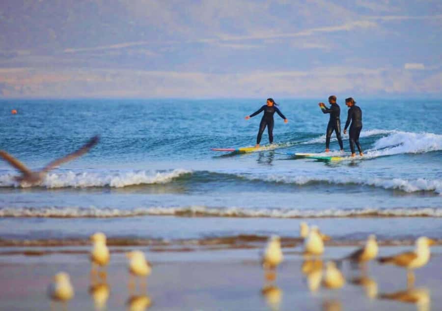Surf Training and Lunch on Essaouira Day Trip from Marrakech - UNESCO Medina Time in Essaouira: Wander With a Plan, Not a Map