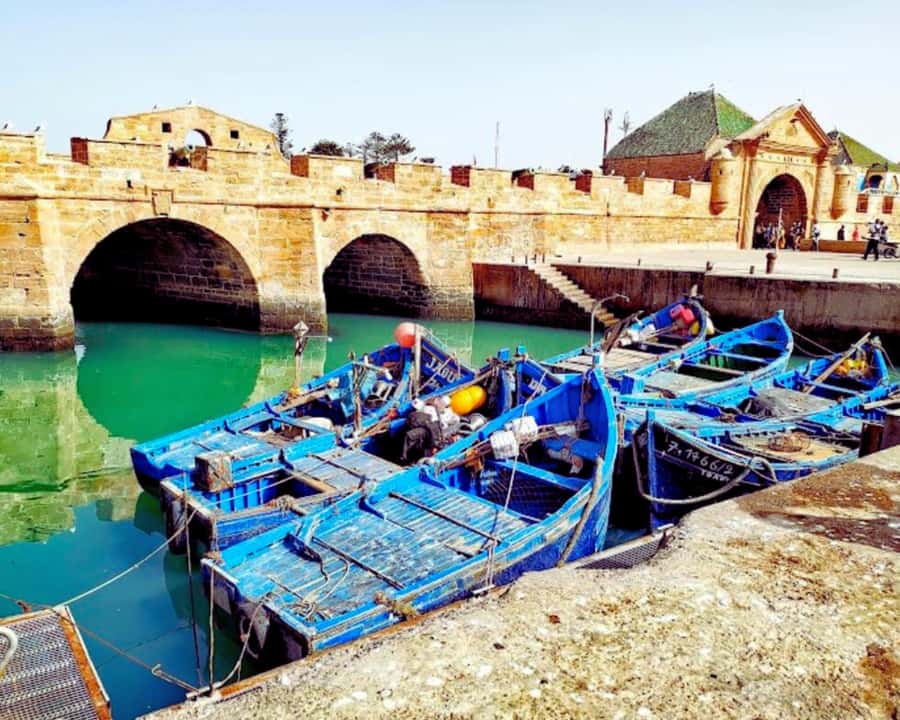 Surf Training and Lunch on Essaouira Day Trip from Marrakech - Who Should Book This Essaouira Surf Day Trip