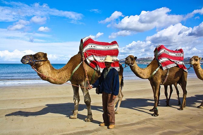 Tangier 3 Hours Sightseeing & Camel ride - Atlantic Meets Mediterranean: The Real Point of This Tangier Tour