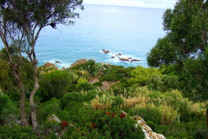 Tangier 3 Hours Sightseeing & Camel ride - Caves of Hercules (30 Minutes): Worth Seeing, But Go in Realistically
